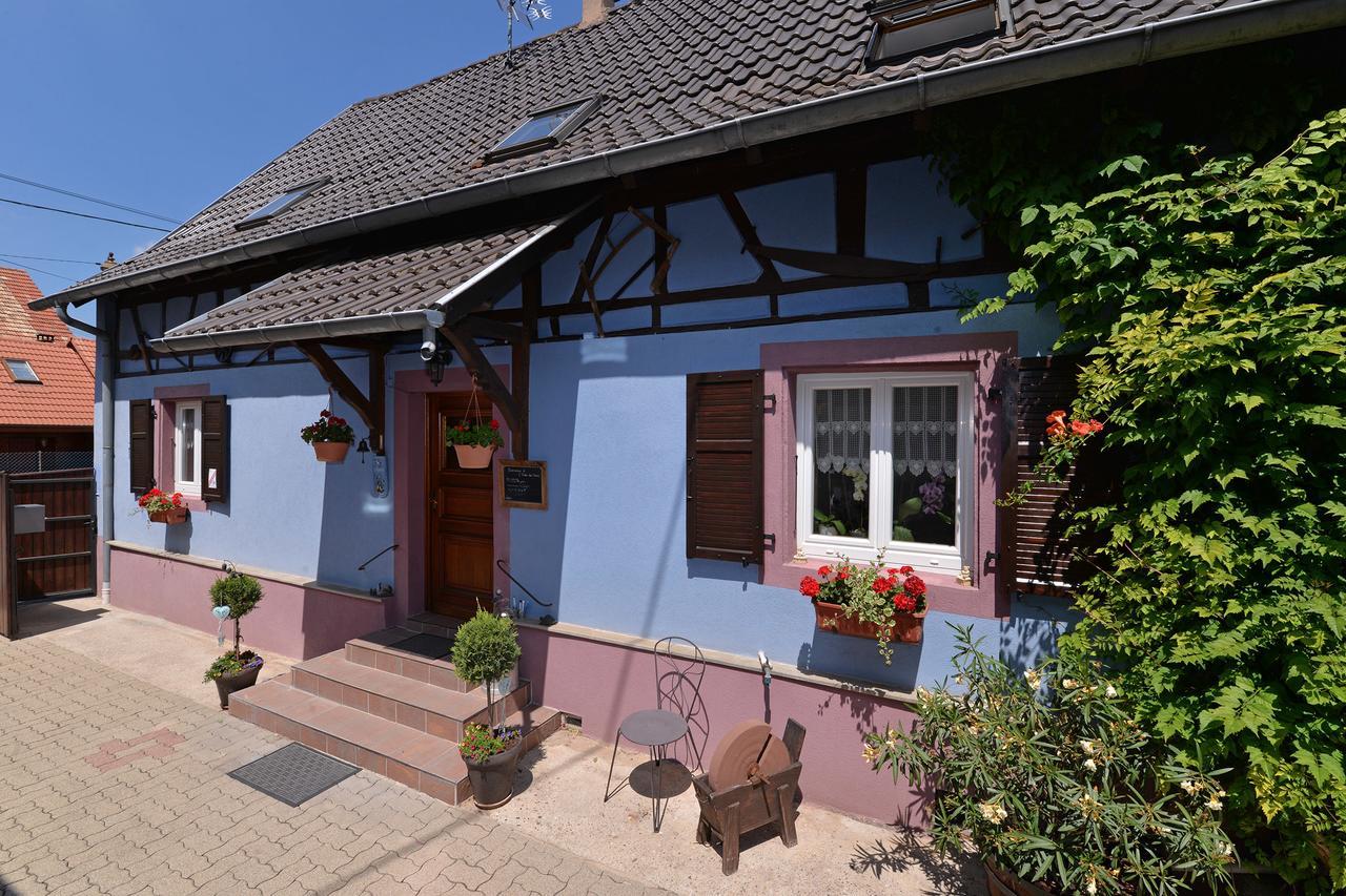 Eden Des Choux Hotel Krautergersheim Ngoại thất bức ảnh