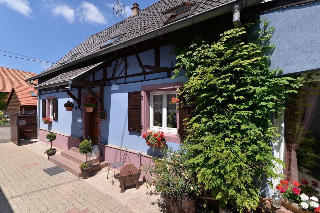 Eden Des Choux Hotel Krautergersheim Ngoại thất bức ảnh
