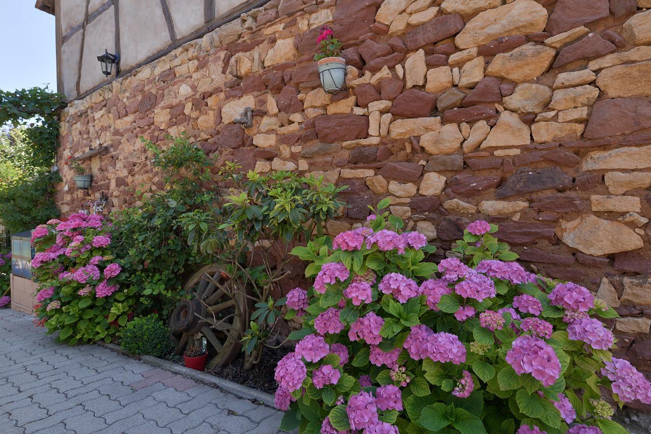 Eden Des Choux Hotel Krautergersheim Ngoại thất bức ảnh